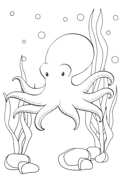 sea-animal1